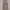 Lolita Casual Summer dress Wanita khaki cream photo 1