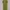 Minimalist Casual Wanita green khaki photo 1