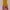 Lolita Casual Summer dress Wanita multicolor yellow photo 2