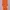 Luxury Lolita Bodycon Dress Wanita Orange