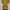 Vintage Minimalist Midi Dress Wanita Yellow Tan