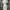Coquette Midi dress Wanita white photo 4