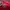 Sportswear Minimalist Jersey Pria Red