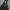 Japanese brand Y2K Swimwear Pria gray photo 3