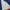 Champion Vintage Windbreaker Pria blue photo 4