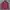 LAINE Casual Casual shirt Pria red photo 1