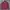 LAINE Casual Casual Shirt Pria Red