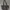 Coach Vintage Casual Tote bag Wanita silver gray photo 1