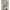 Kate Spade Luxury Crossbody Bag Wanita White