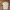 Polo Ralph Lauren Vintage Polo Shirt Pria White