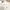 Polo Ralph Lauren Vintage Polo shirt Pria white photo 2