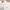 Polo Ralph Lauren Vintage Polo Shirt Pria White