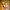 New Balance RC30 Donald Glover Sea Salt photo 3