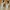 New Balance RC30 Donald Glover Sea Salt photo 5
