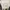 Converse Vintage Streetwear Sneakers Pria white black photo 7