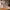 Vintage Prom dress Wanita gold photo 1