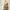 Vintage Prom dress Wanita gold photo 3