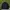 Streetwear Sportswear Windbreaker Pria Black