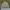 Streetwear Sportswear Windbreaker Pria tan photo 4