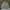 Streetwear Sportswear Windbreaker Pria tan photo 1