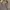 Streetwear Sportswear Windbreaker Pria tan photo 6