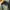 Biker Casual Suit Pria multicolor black photo 3
