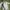 Adidas Streetwear Casual Jersey Pria white black photo 3