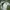 Adidas Streetwear Casual Jersey Pria white black photo 2