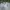 Adidas Streetwear Y2K Jersey Pria white black photo 1