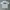 Vintage Avant Garde T-shirt Pria white photo 1