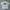 Vintage Avant Garde T-shirt Pria White