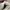 Converse Streetwear Casual Sneakers Pria green white photo 4