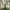 Converse Streetwear Casual Sneakers Pria green white photo 3