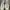 Converse Streetwear Casual Sneakers Pria Green White