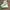 Converse Streetwear Casual Sneakers Pria green white photo 1