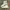 Converse Streetwear Casual Sneakers Pria Green White