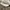 Onitsuka Tiger Casual Sneakers Pria White