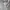 Casual Sweatshirt Pria white photo 5