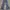 Vintage Streetwear Jeans Pria Blue