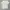 Levi's Vintage Streetwear T-shirt Pria Multicolor White