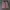 Gramicci Vintage Streetwear Short Pria pink photo 3