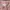 Gramicci Vintage Streetwear Short Pria pink photo 5