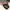 Vintage Fairy Wanita black photo 2