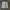 Wrangler Vintage Y2K Short Pria white photo 2