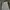 Wrangler Vintage Y2K Short Pria white photo 5