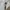 Wrangler Vintage Y2K Short Pria white photo 7