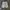 Wrangler Vintage Y2K Short Pria white photo 1