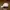 Nike Vintage Streetwear Hat Pria white photo 4
