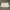 Gucci Vintage Avant Garde Skirt Wanita cream photo 5