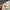 Gucci Vintage Avant Garde Skirt Wanita cream photo 7
